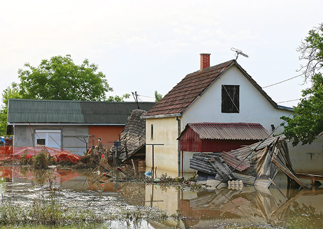 Flood Insurance Coverage (Optional)