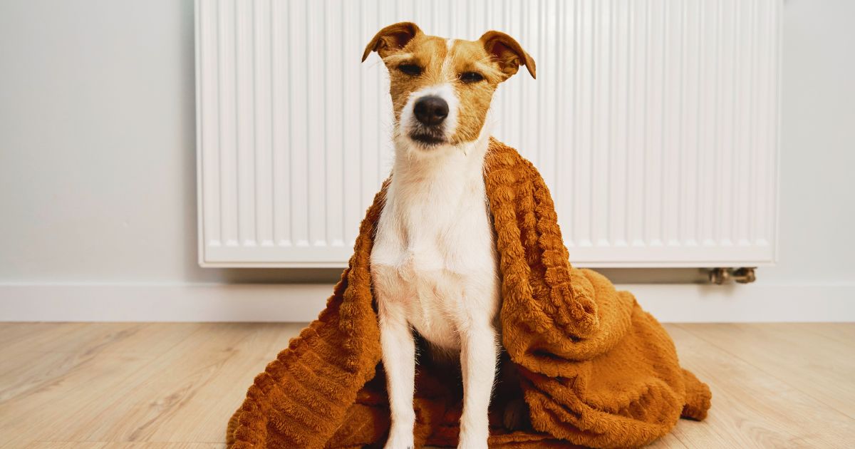 Homeowners Insurance in Columbia County: What to Check Before Heating Season