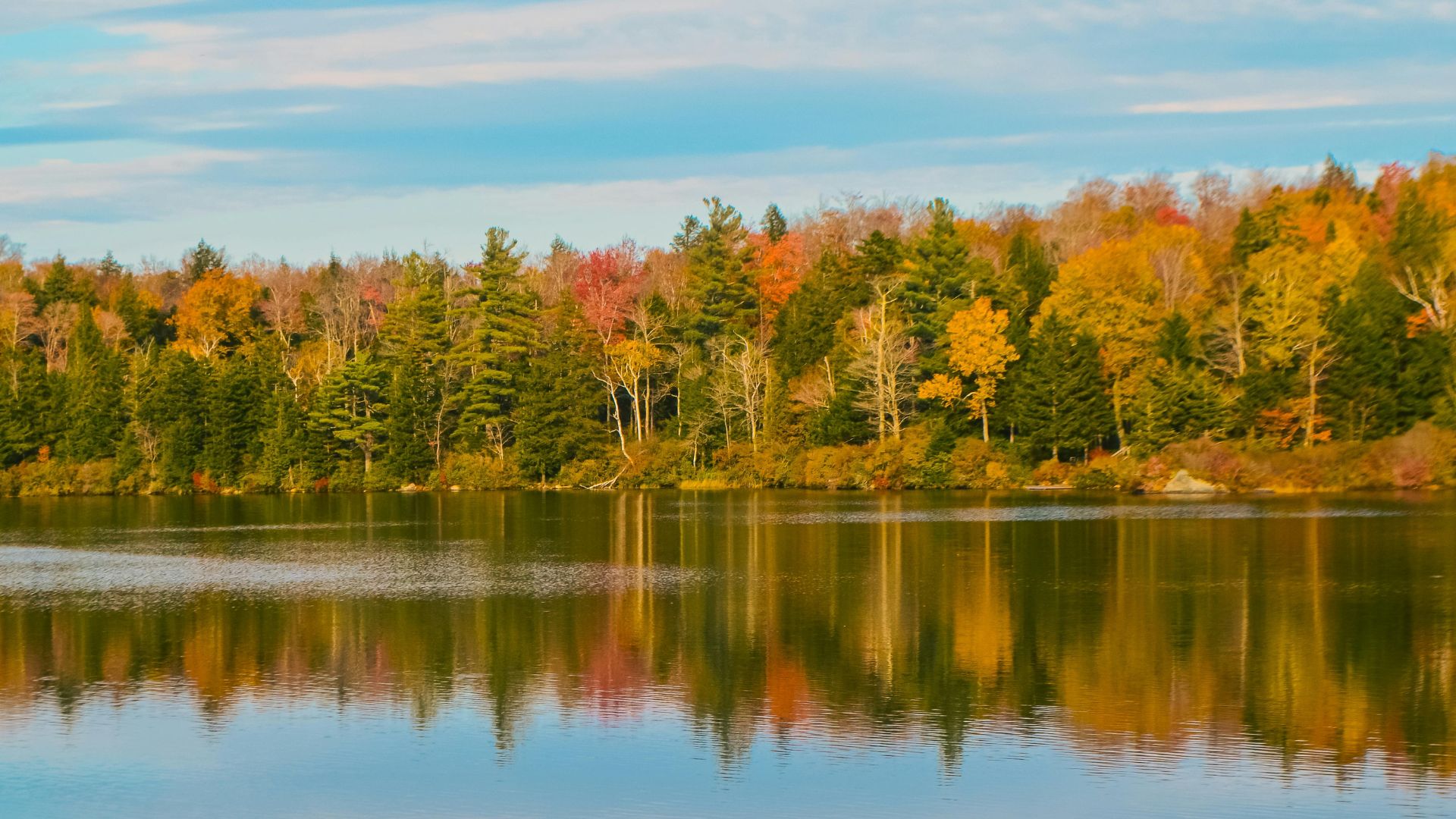 Autumn trees reflected in a lake, representing Kneller Insurance Agency in Columbia County, New York