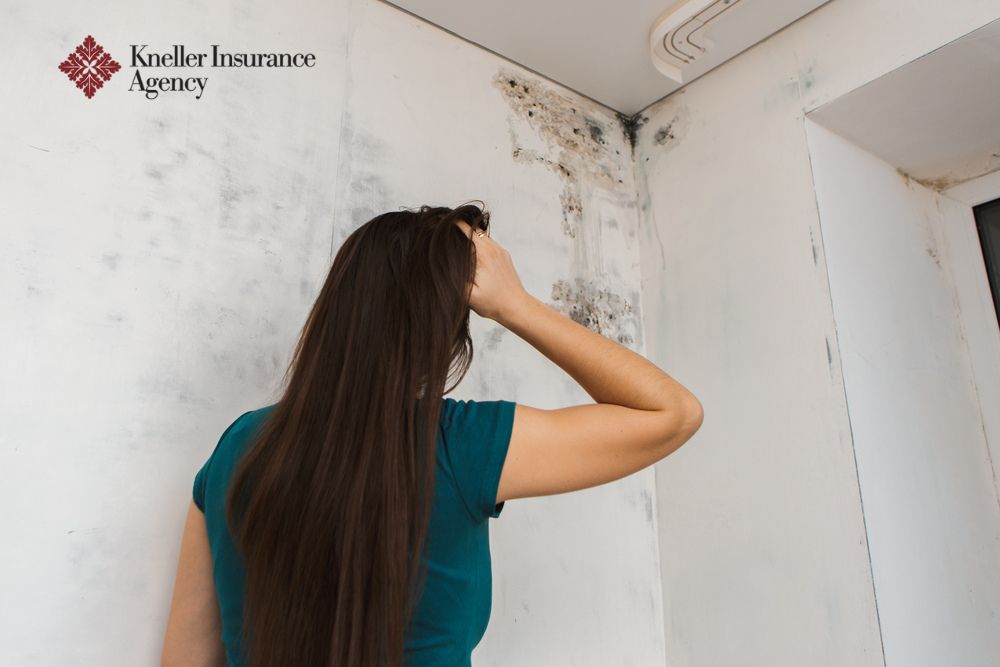 mold covered by homeowners insurance