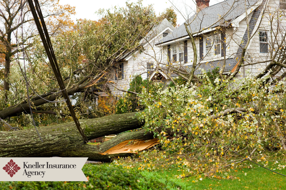 home insurance for natural disaster