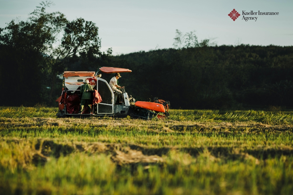 What’s The Difference Between Farm Insurance Vs Crop Insurance in New York?