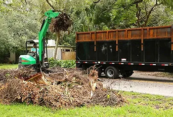 Debris Removal