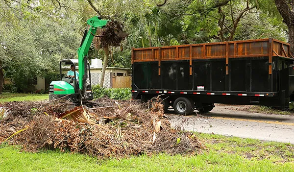 Why Debris Removal Businesses Need Customized Insurance