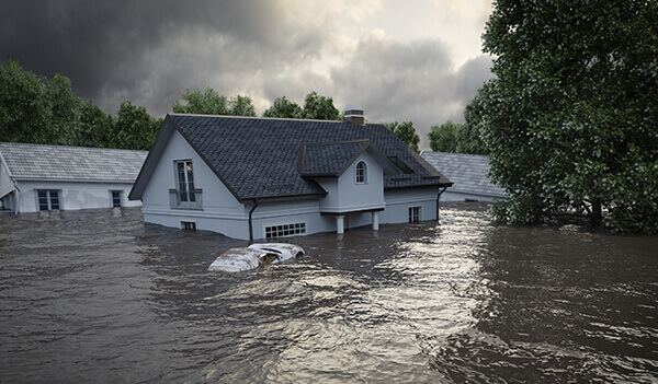 Flood Insurance Image