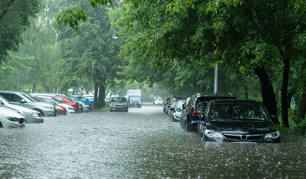 Secure Your Business Against Flood Risks with GrayStone Insurance Group