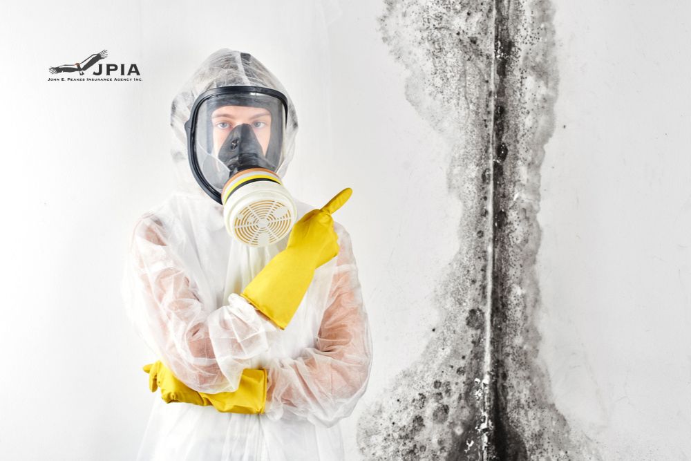 Home Insurance Mold Coverage: What Every Homeowner Needs to Know
