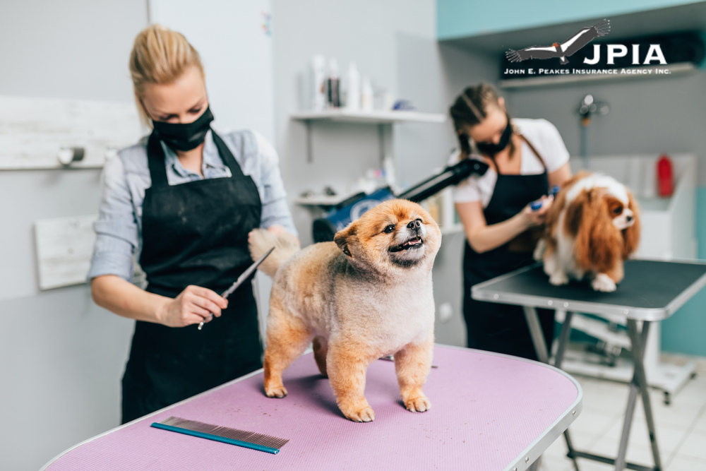 Pet Grooming: Ensuring Safety and Wellness