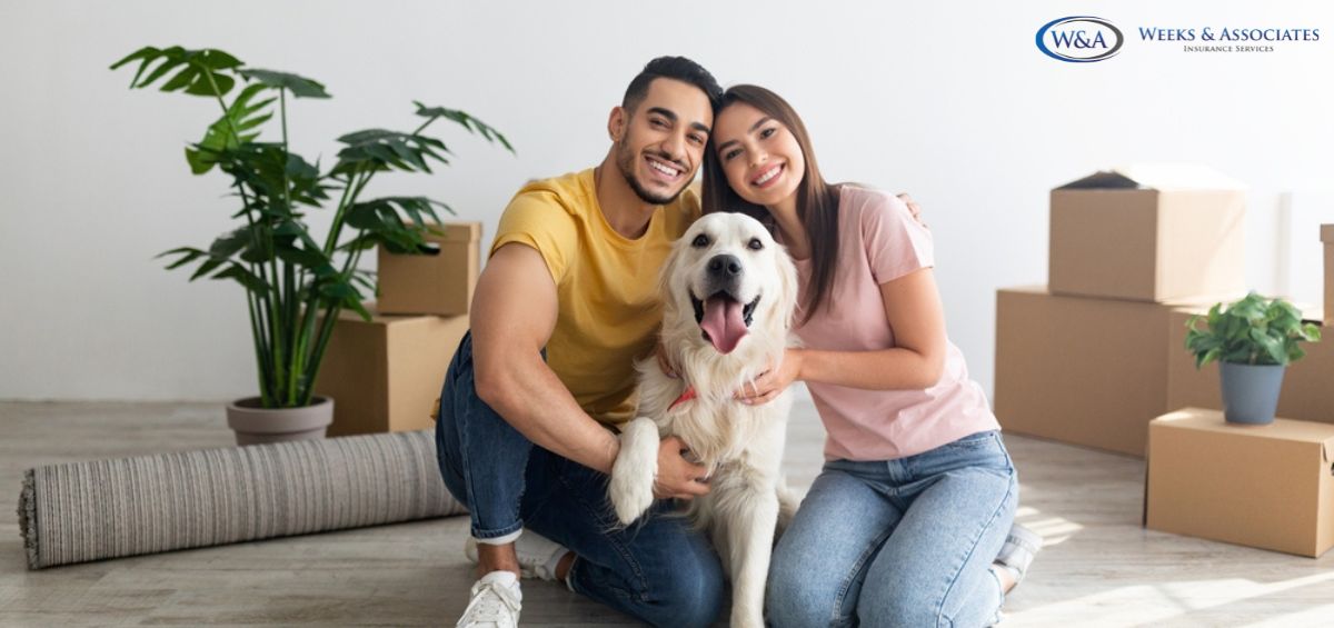 Importance of adding your pets to renters insurance
