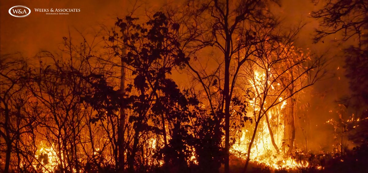 How Wildfire Risk in Thousand Oaks Impacts Renters Insurance Coverage 