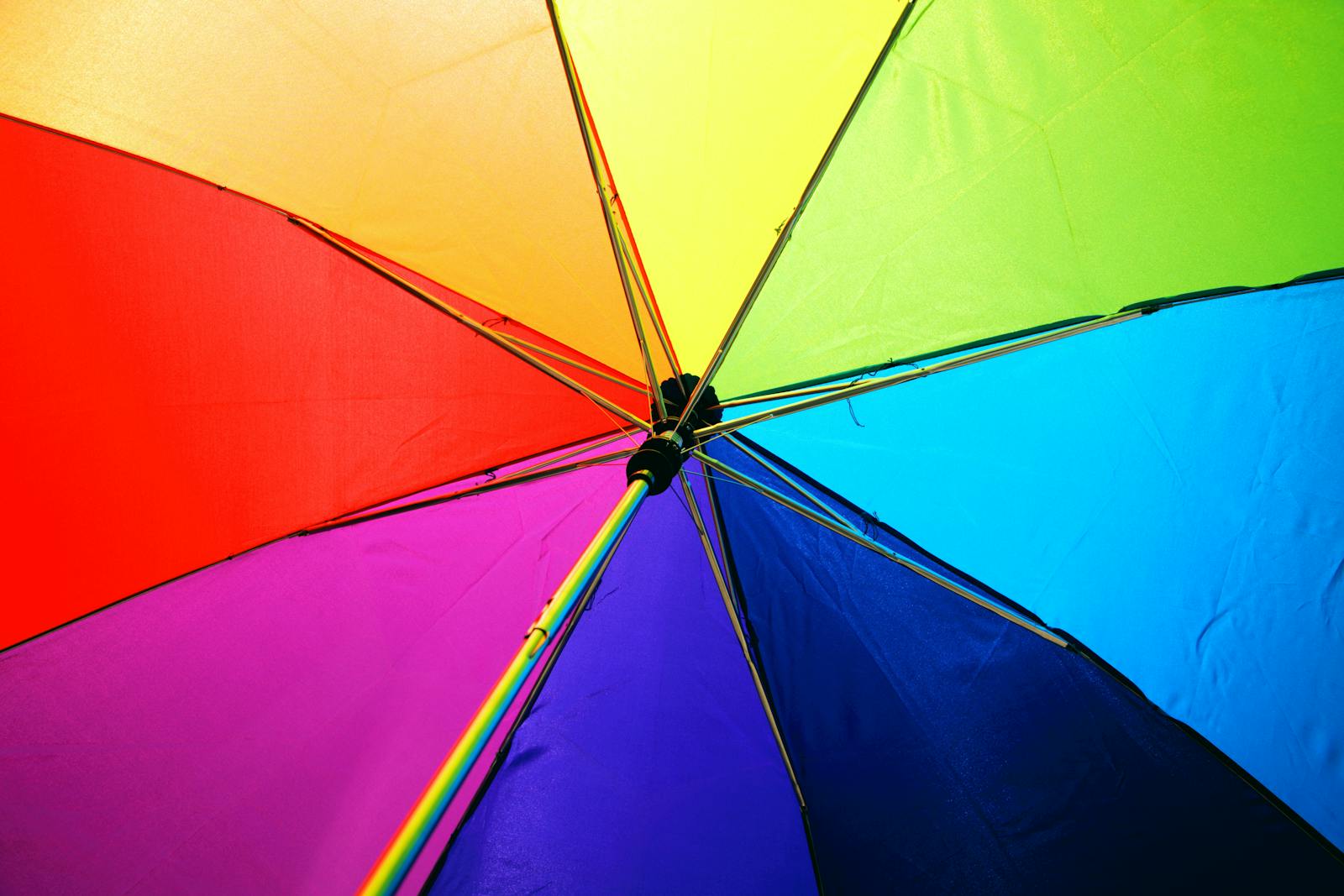 What Can Be Covered With Personal Umbrella Insurance?