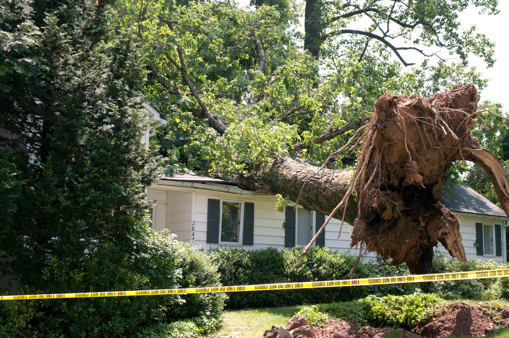 From What Storm Damages are You Covered?