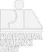 Professional Insurance Agent