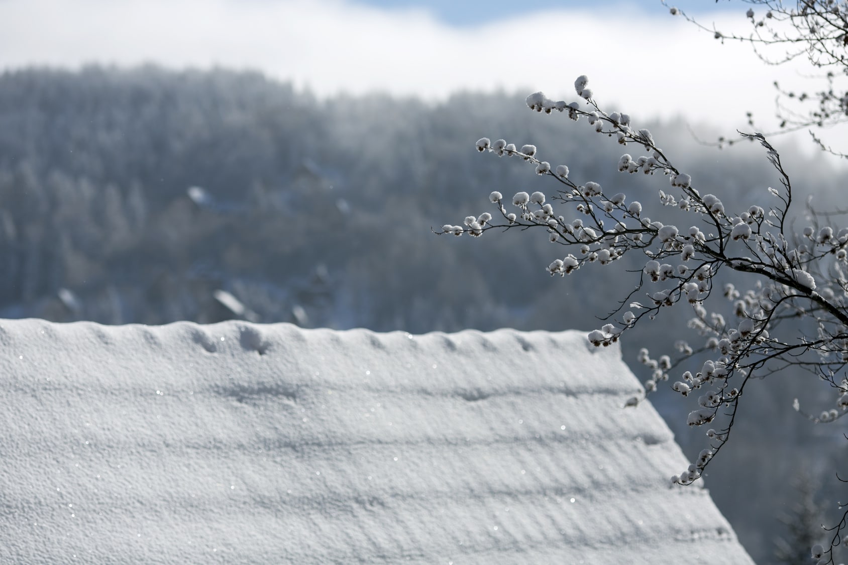 Shield Your Home from Winter Weather