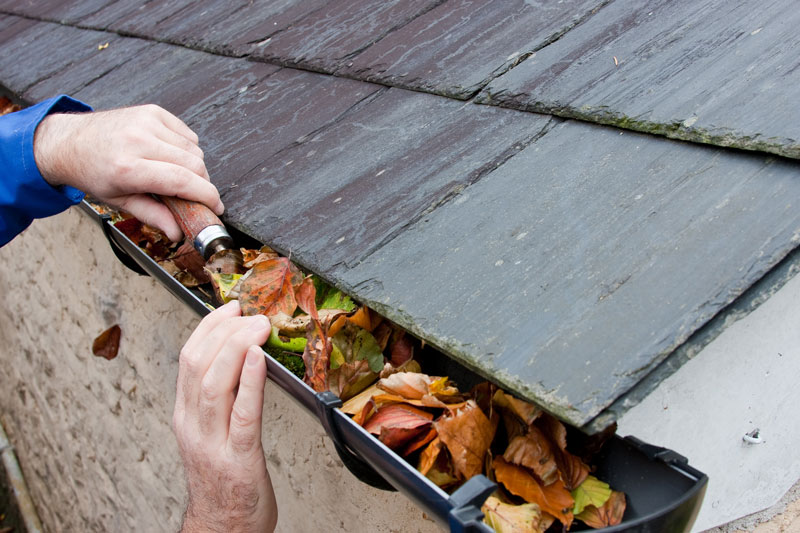 Home Maintenance Tips for the Fall