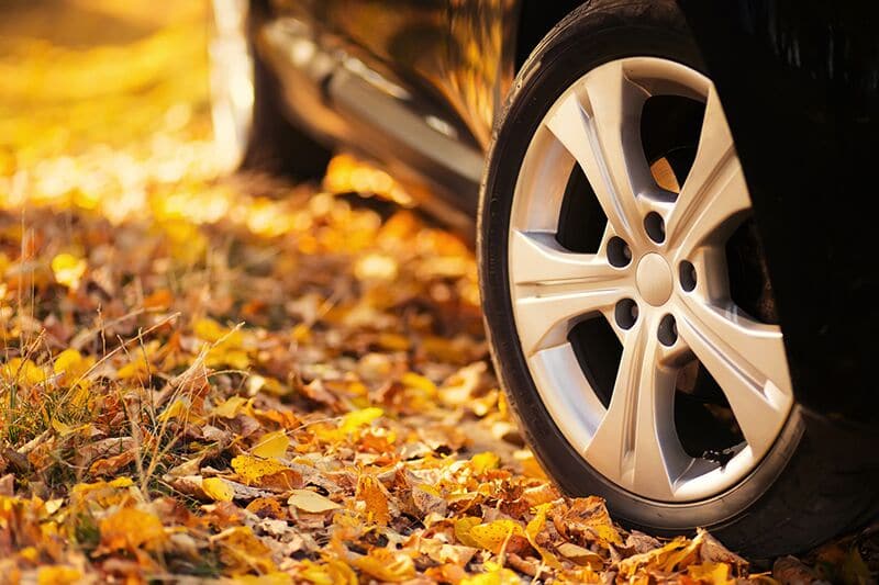 Fall Driving Dangers