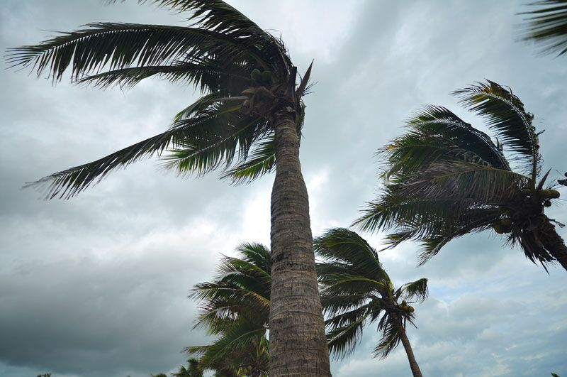 What Small Business Owners Learned This Hurricane Season